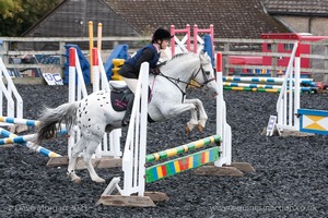 Class 2 -  Fences not above 2'